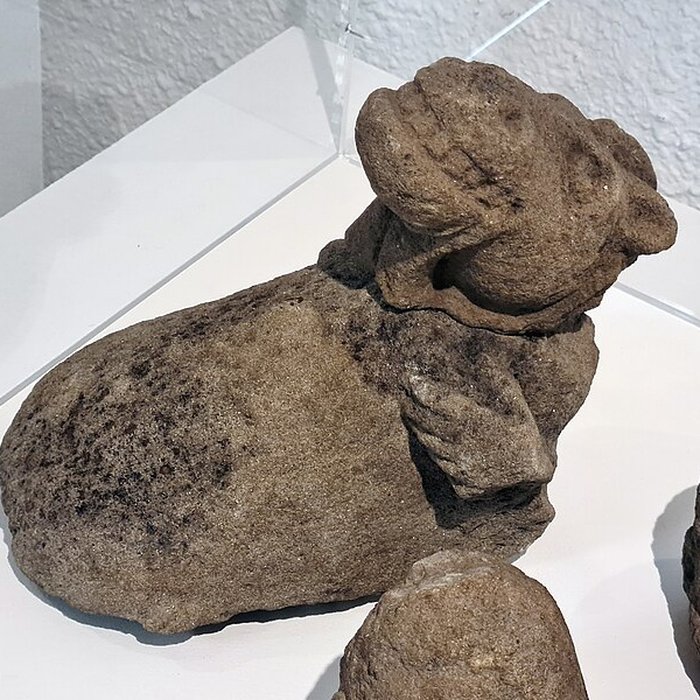 Photo de Camp celtique de la Bure