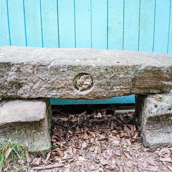 Photo de Camp celtique de la Bure