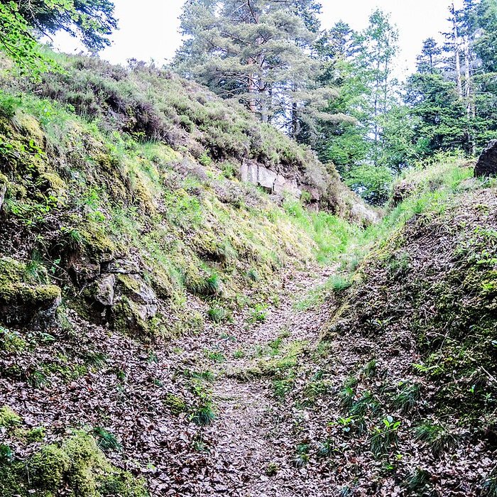 Photo de Camp celtique de la Bure