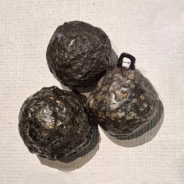 Camp celtique de la Bure