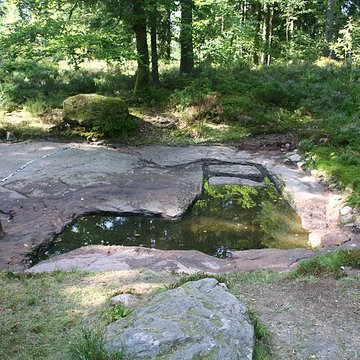 Camp celtique de la Bure