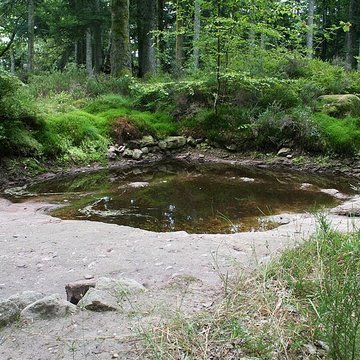 Camp celtique de la Bure