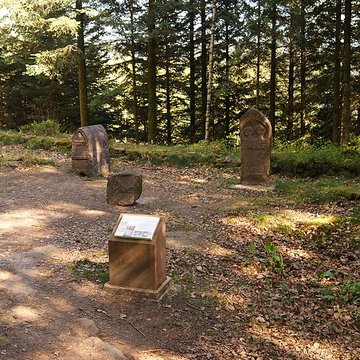 Camp celtique de la Bure