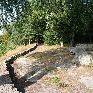 Camp celtique de la Bure