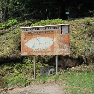 Camp celtique de la Bure