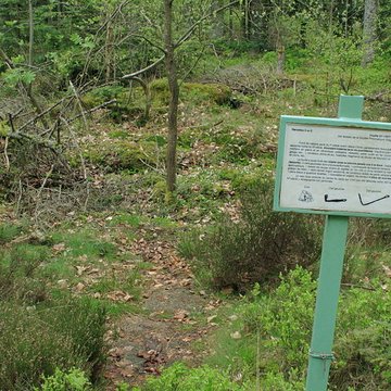 Camp celtique de la Bure