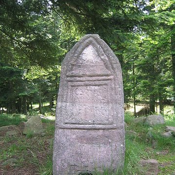 Camp celtique de la Bure