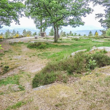 Camp celtique de la Bure