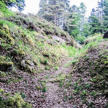 Camp celtique de la Bure