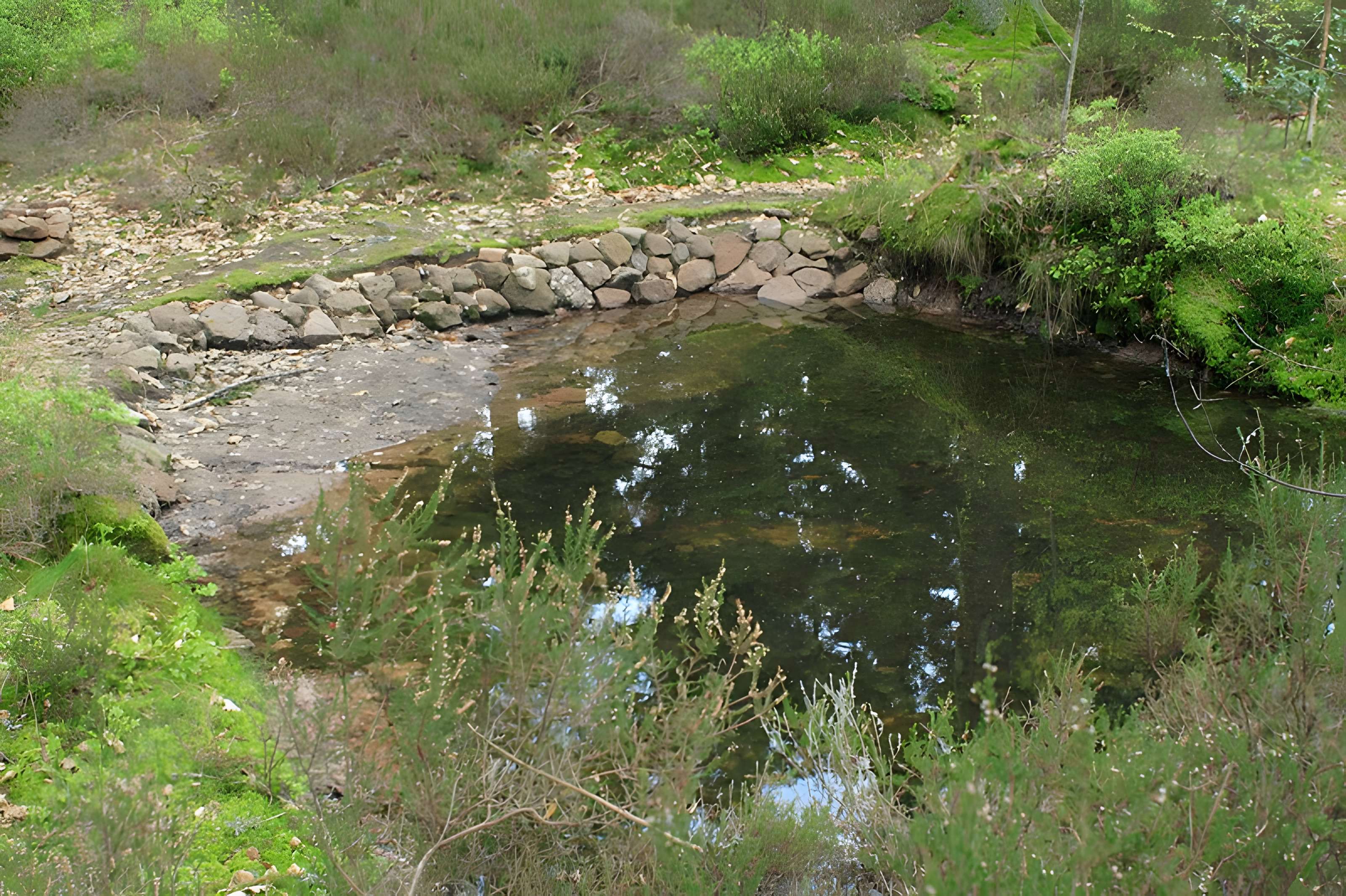 Camp celtique de la Bure