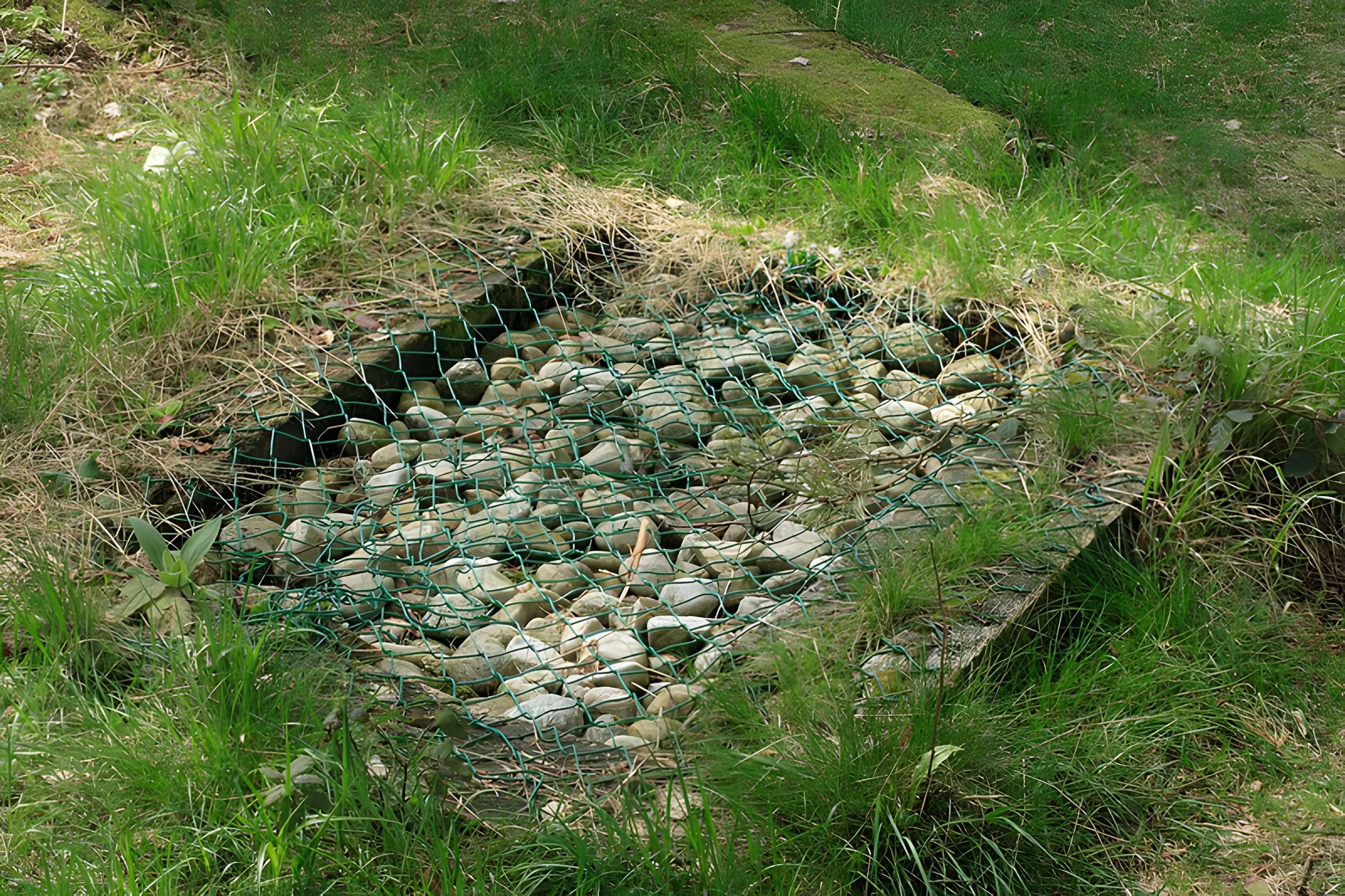 Camp celtique de la Bure