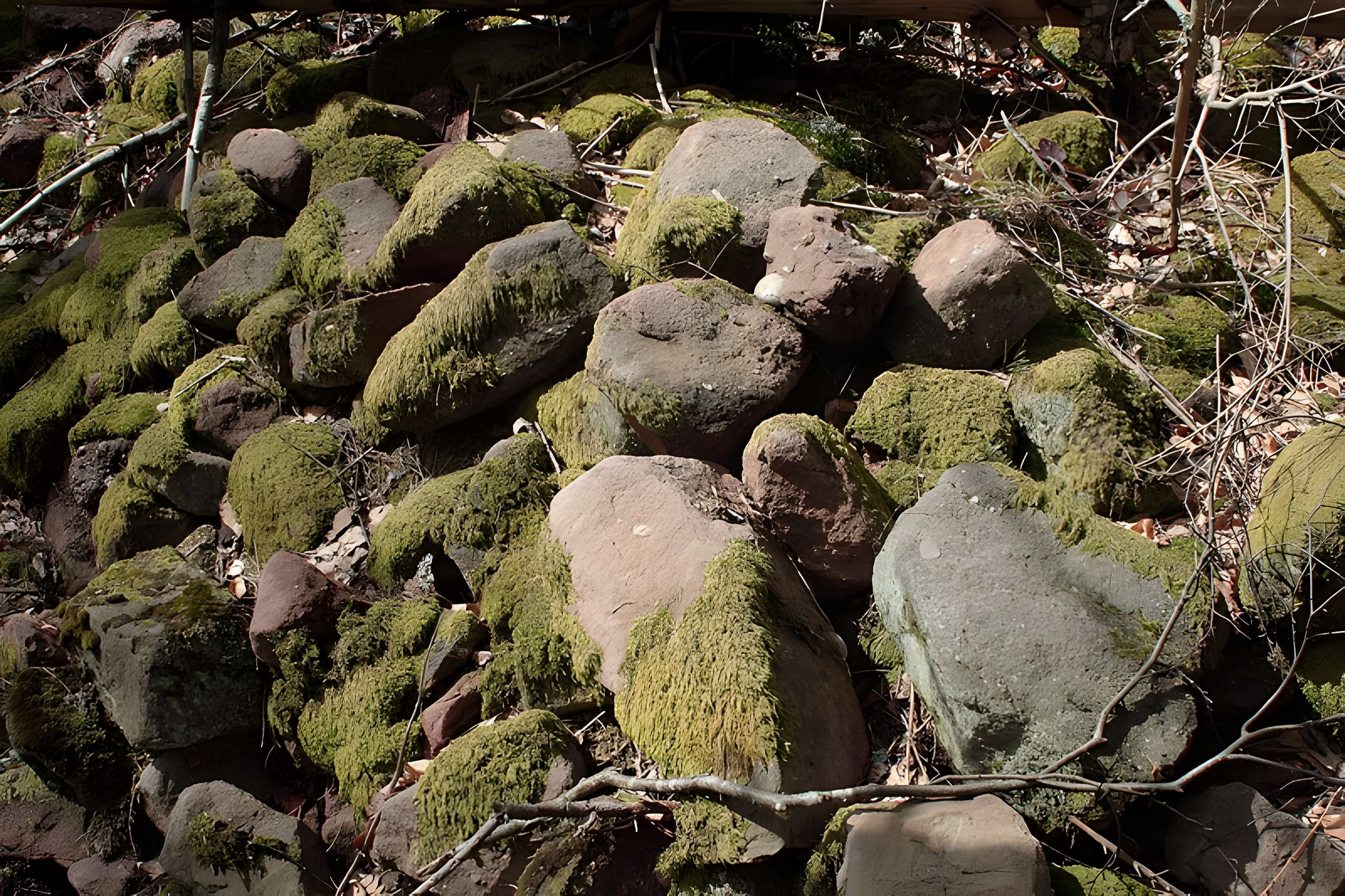 Camp celtique de la Bure