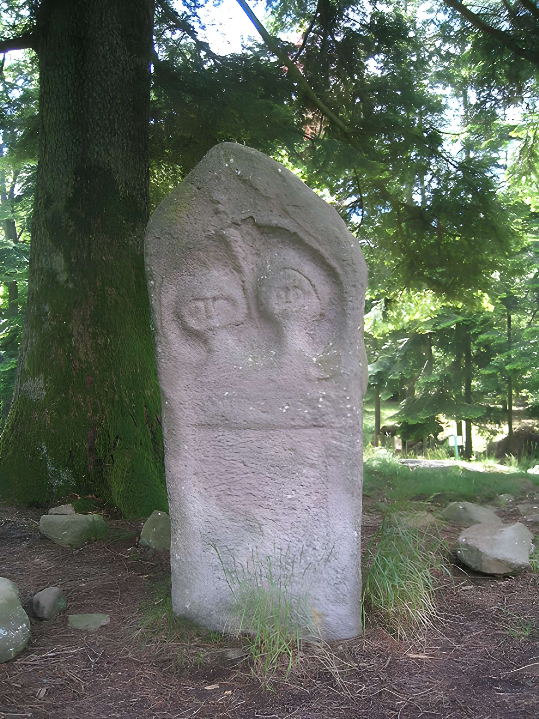 Camp celtique de la Bure