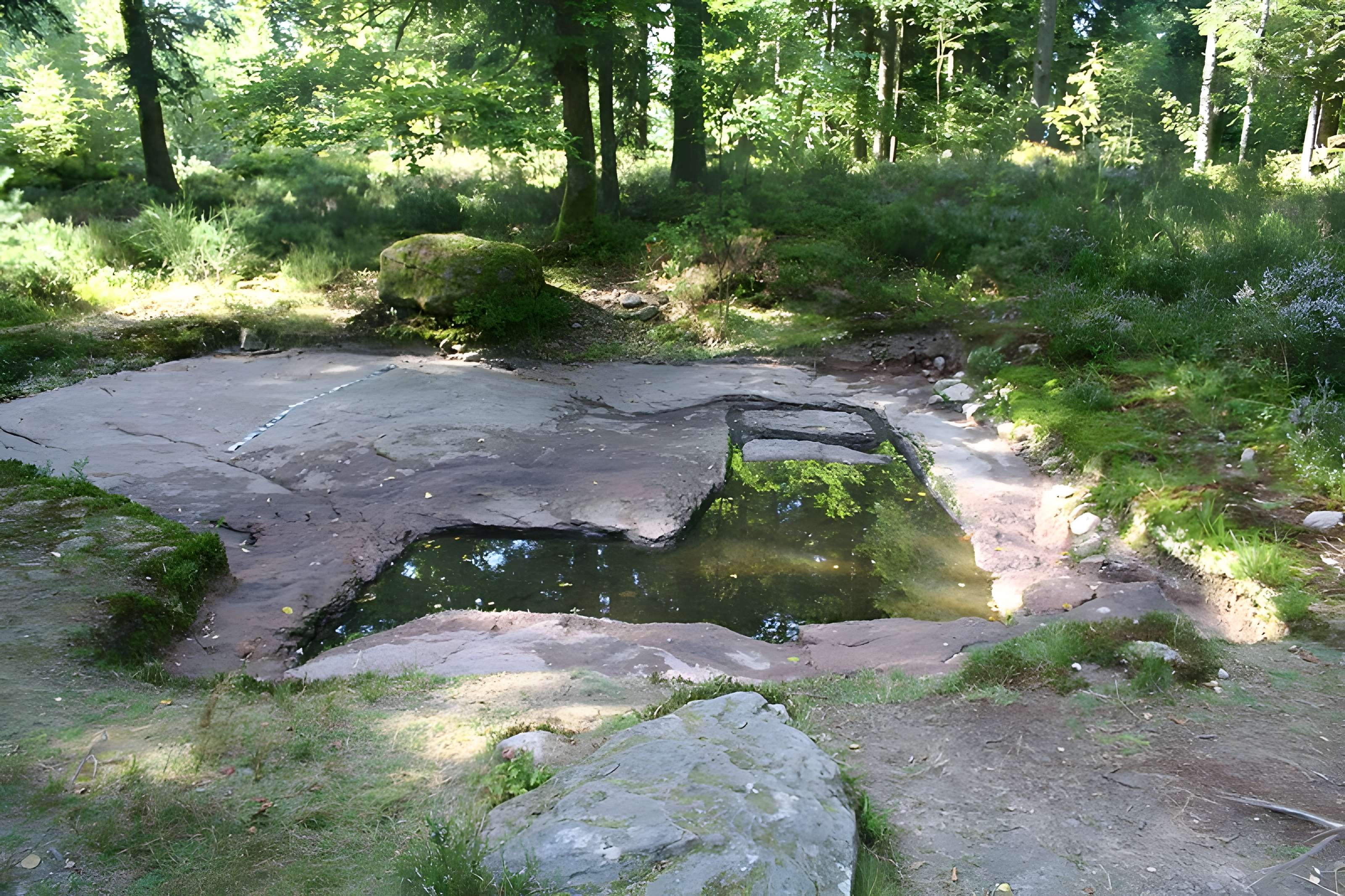Camp celtique de la Bure