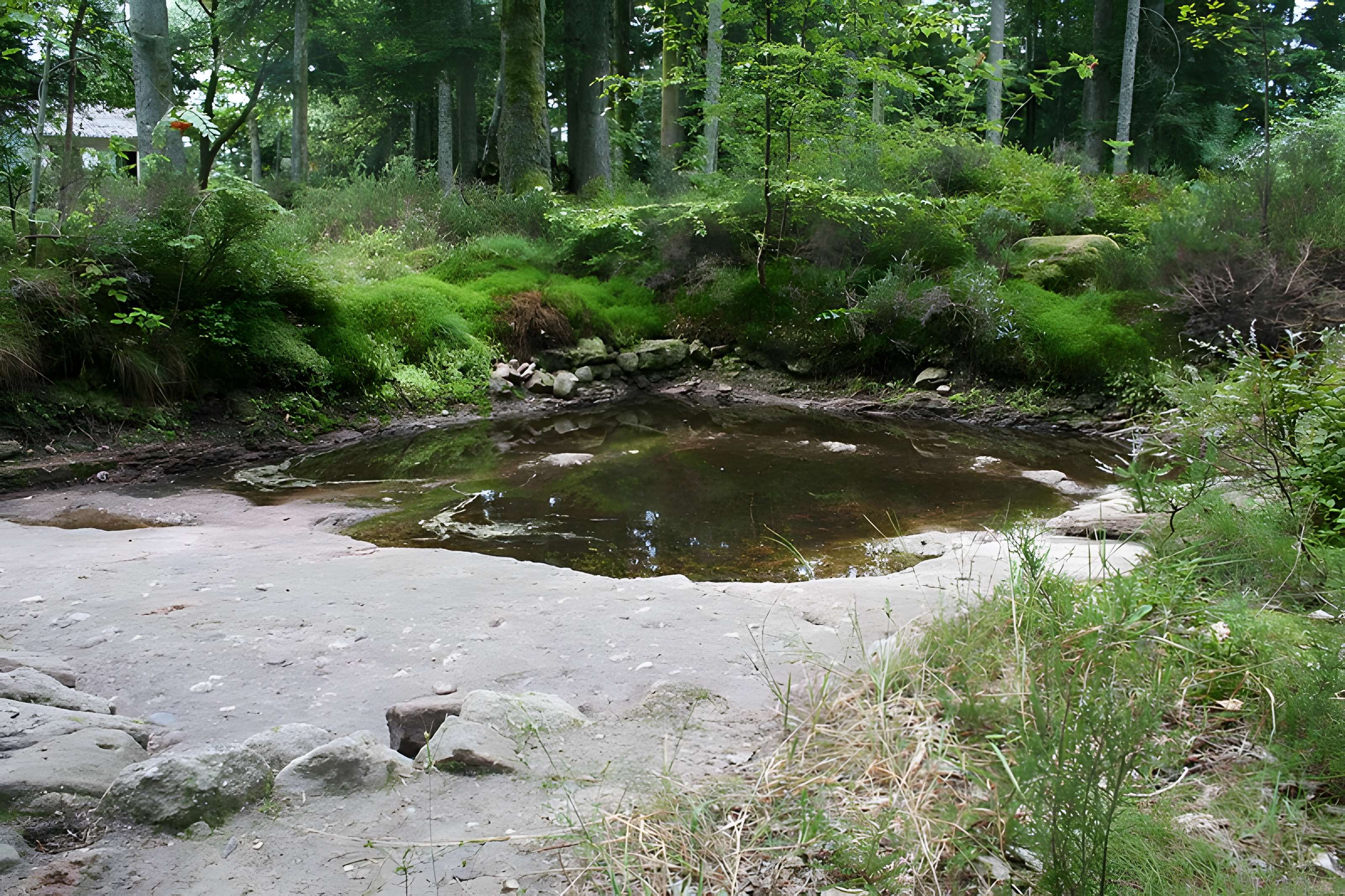 Camp celtique de la Bure