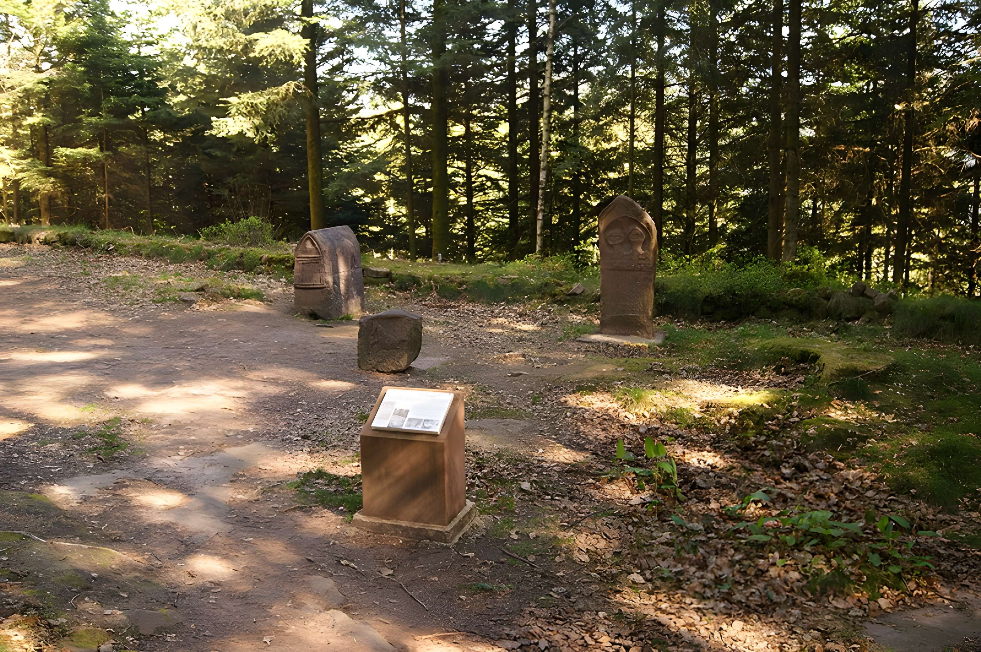 Camp celtique de la Bure