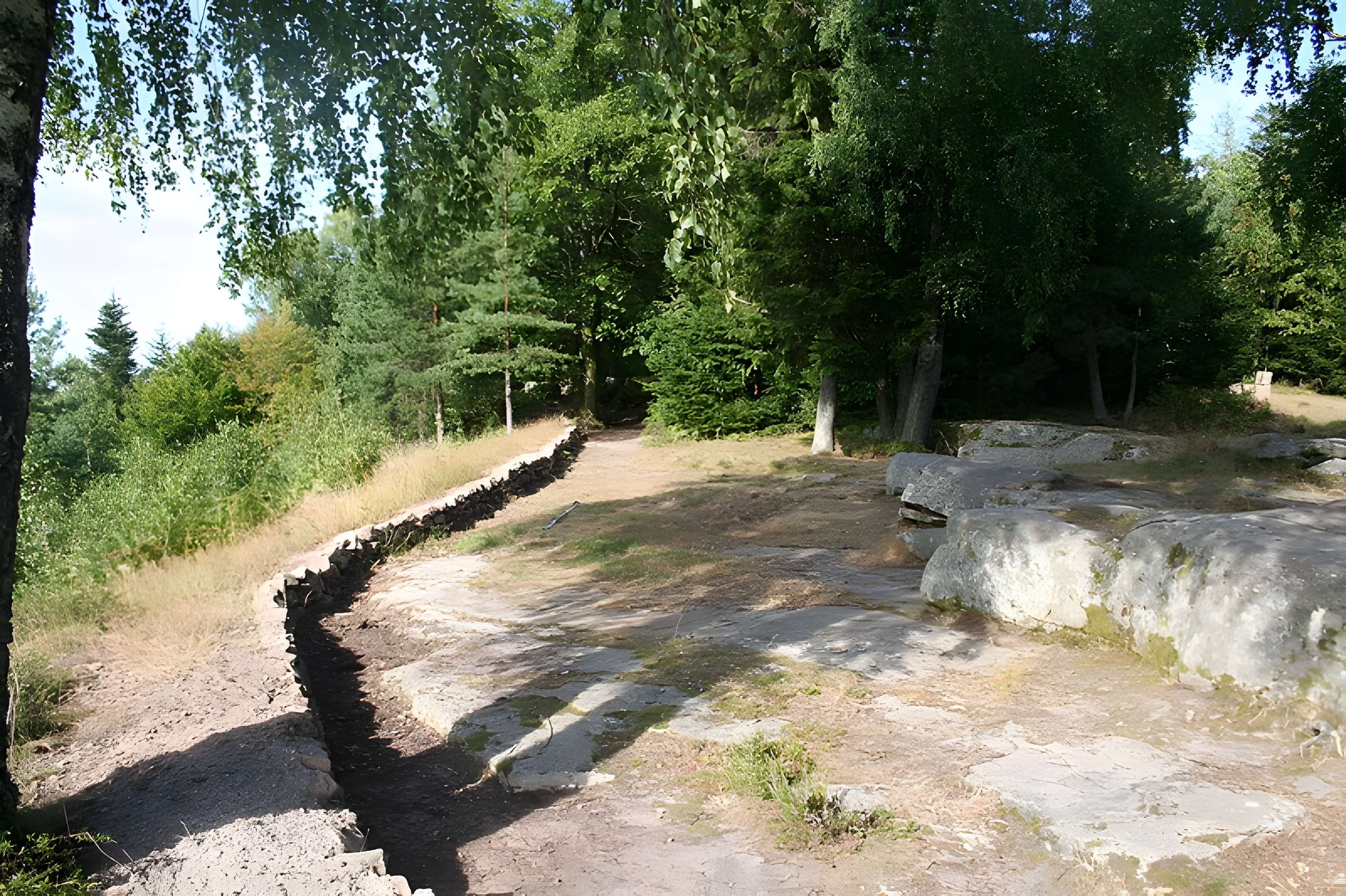 Camp celtique de la Bure