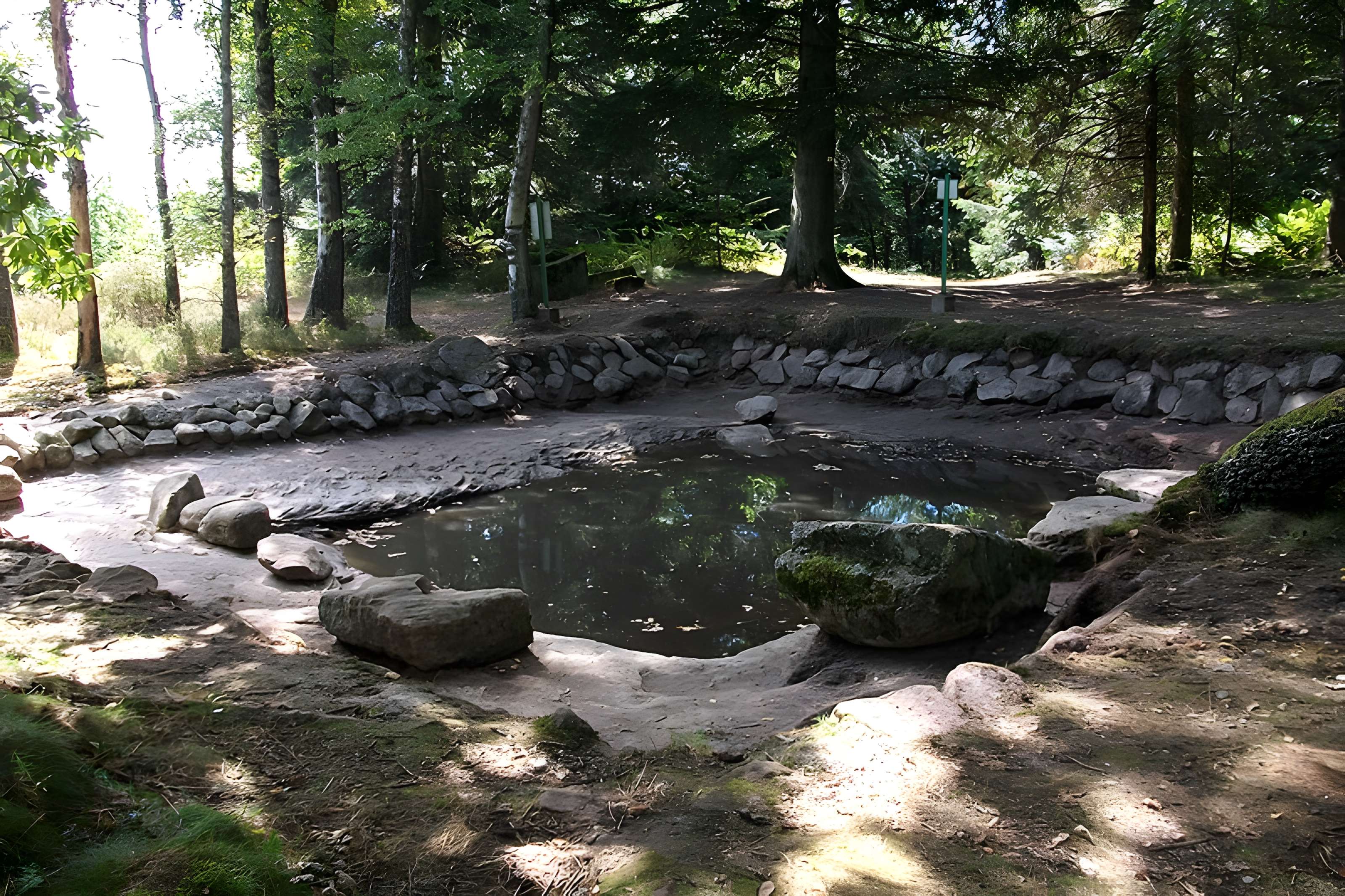 Camp celtique de la Bure