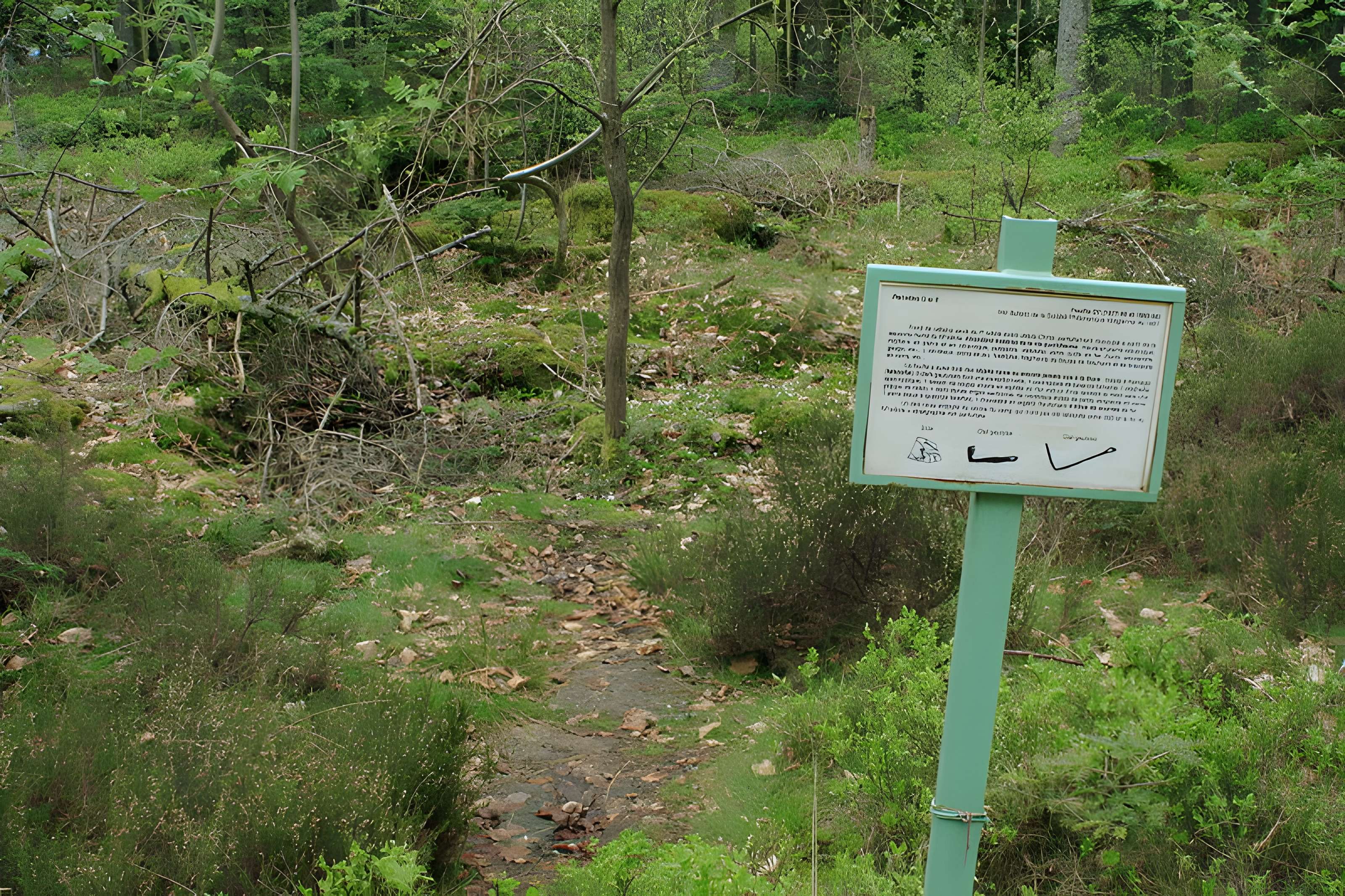 Camp celtique de la Bure