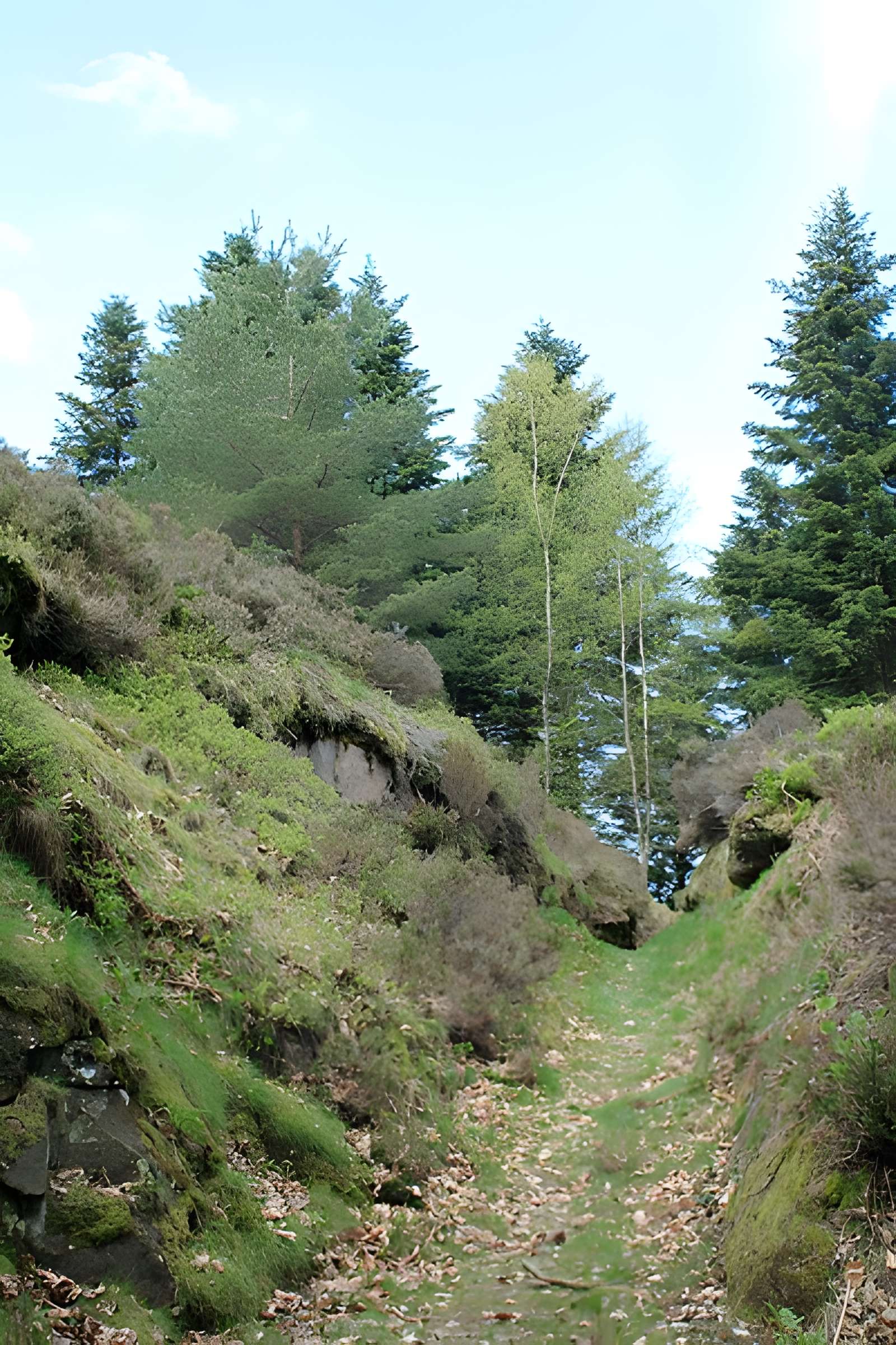 Camp celtique de la Bure