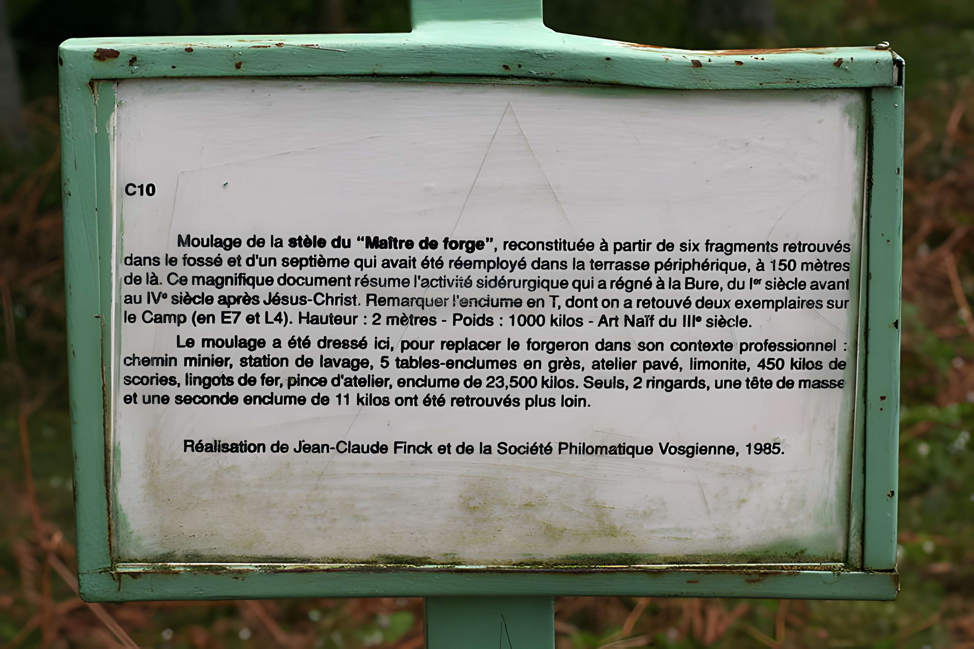 Camp celtique de la Bure