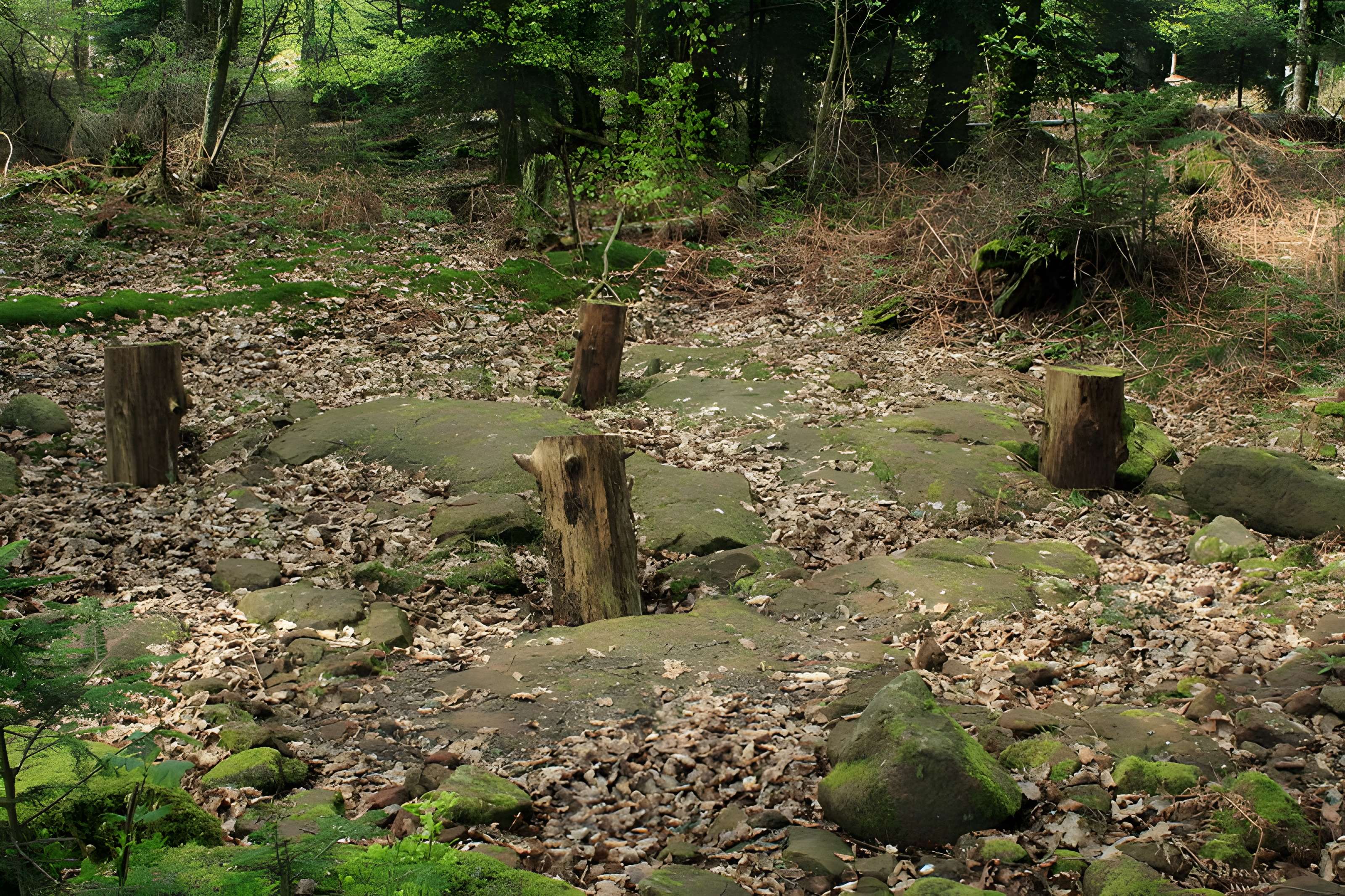 Camp celtique de la Bure