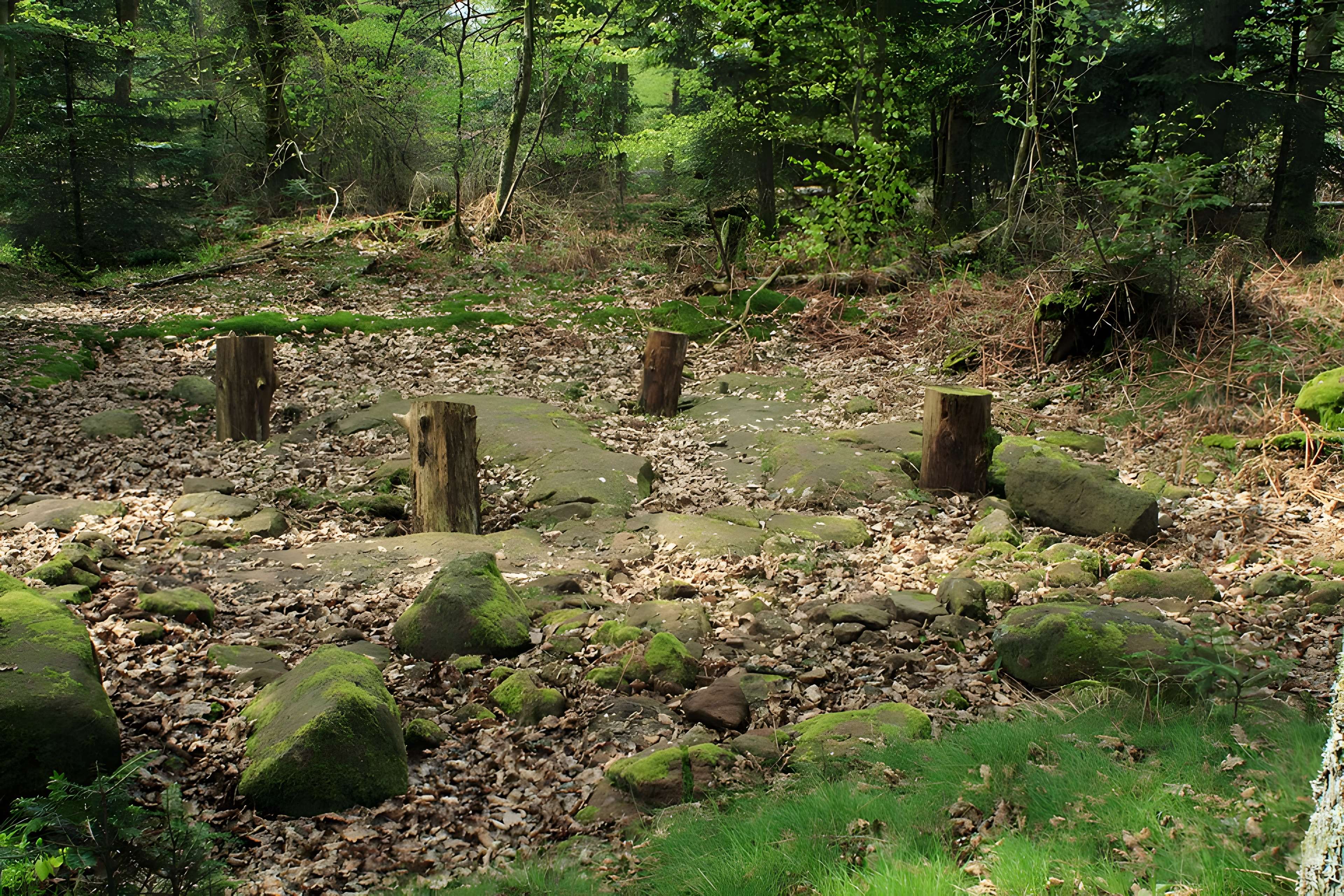 Camp celtique de la Bure