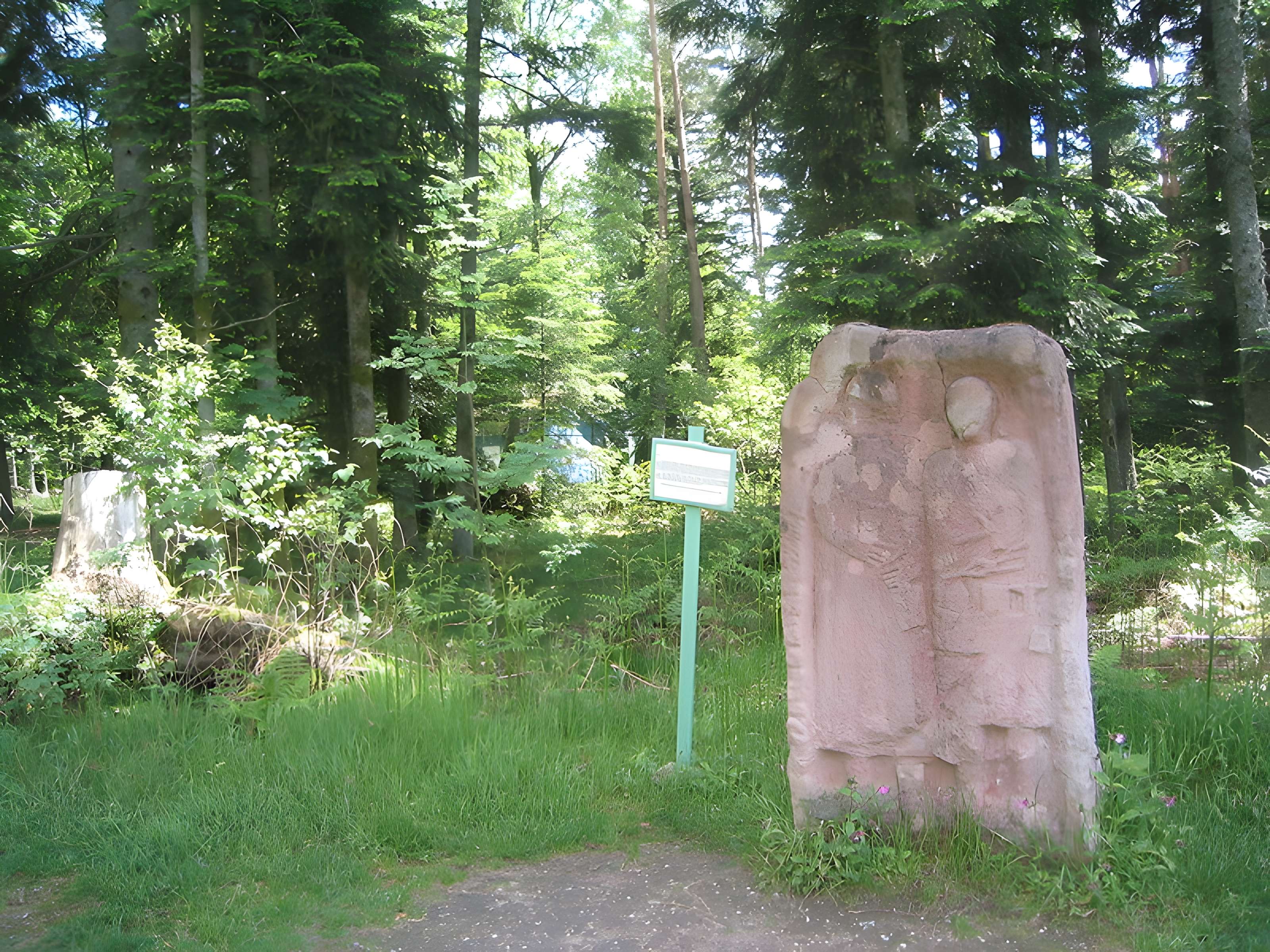 Camp celtique de la Bure