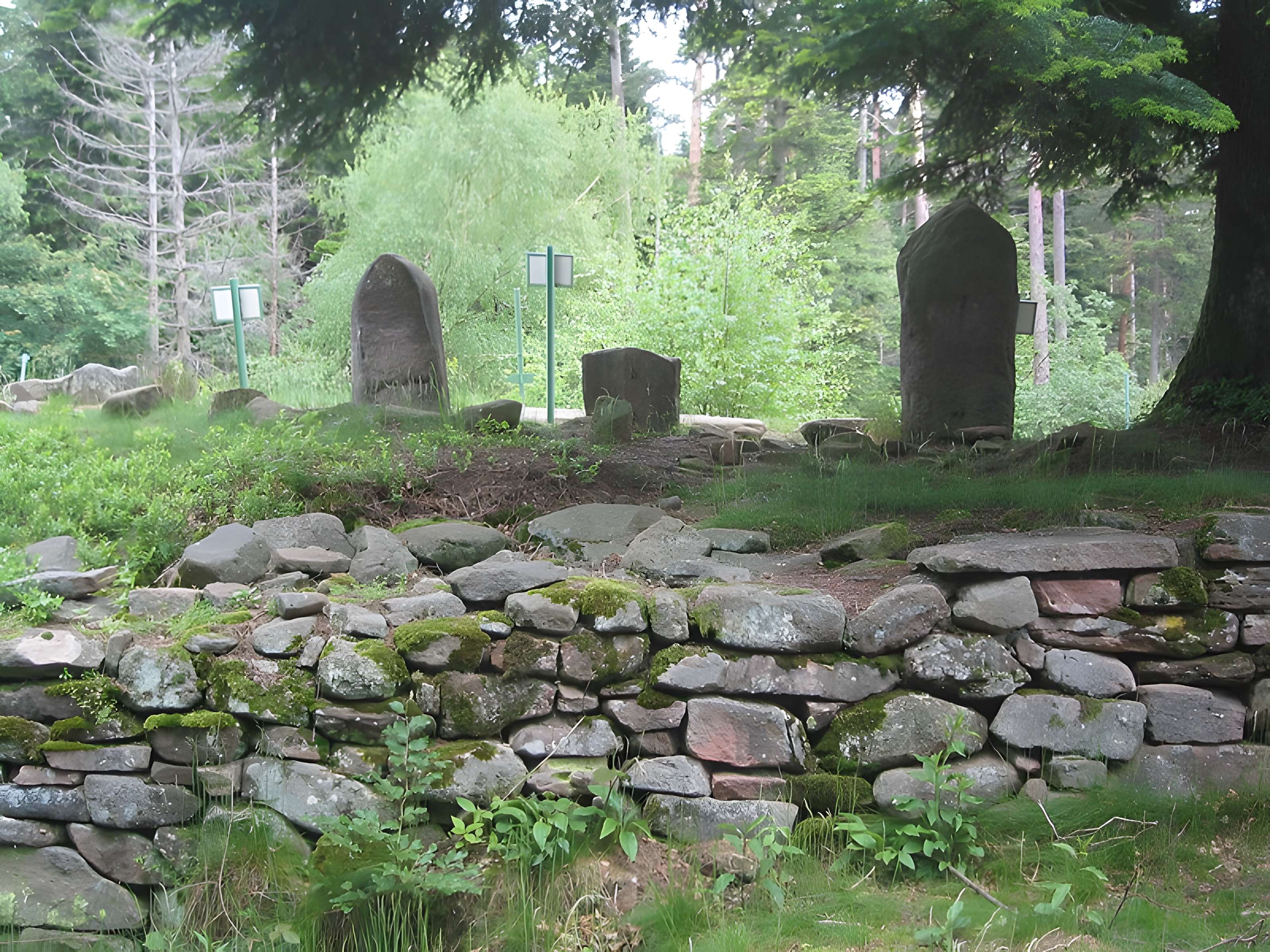 Camp celtique de la Bure