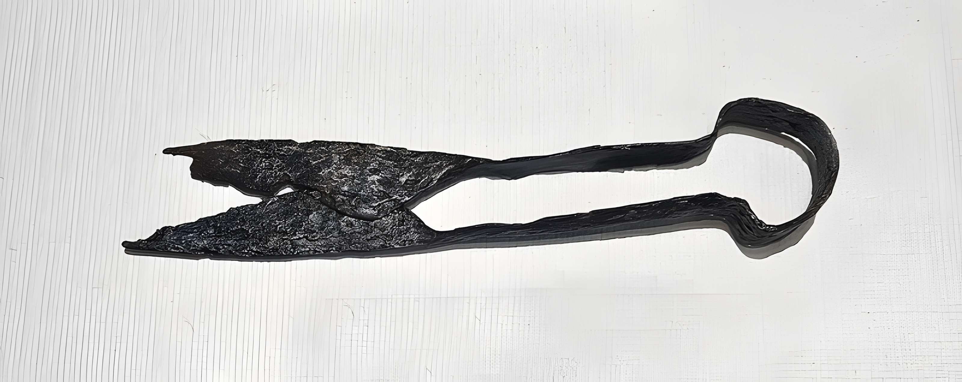 Camp celtique de la Bure