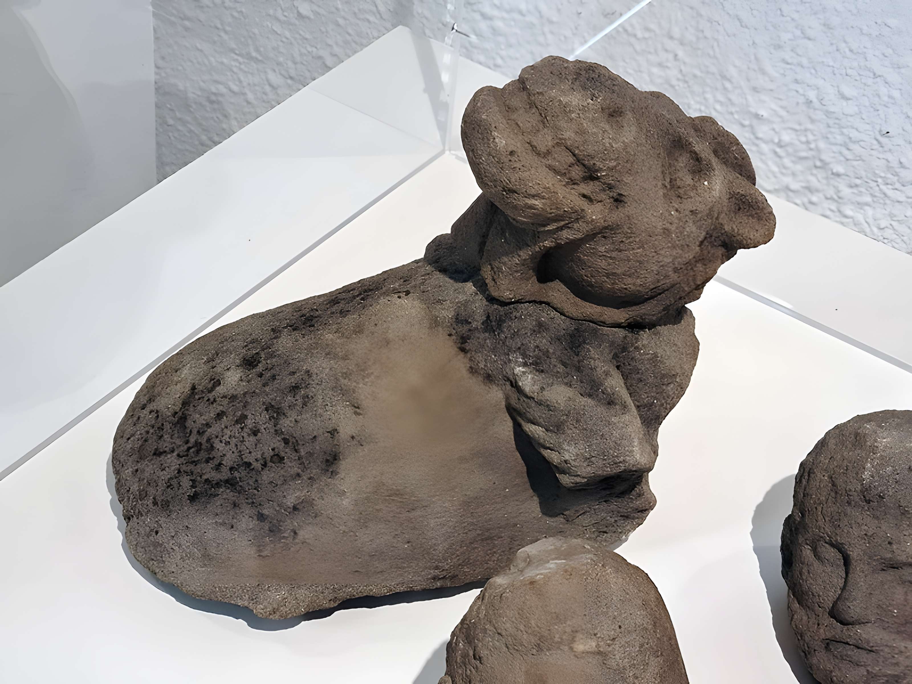 Camp celtique de la Bure