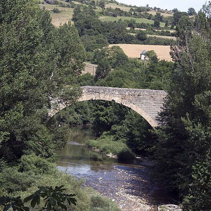 Photo de Pont sur la Dourbie de Nant