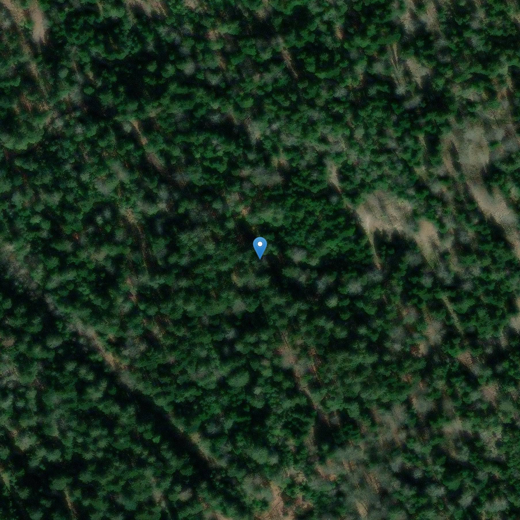 Photo de Nato superiore