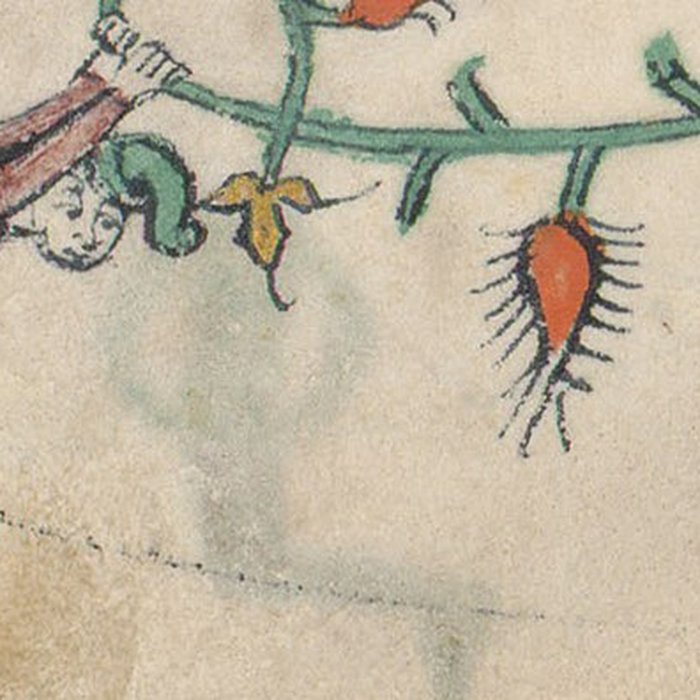 Photo de Ancienne abbaye