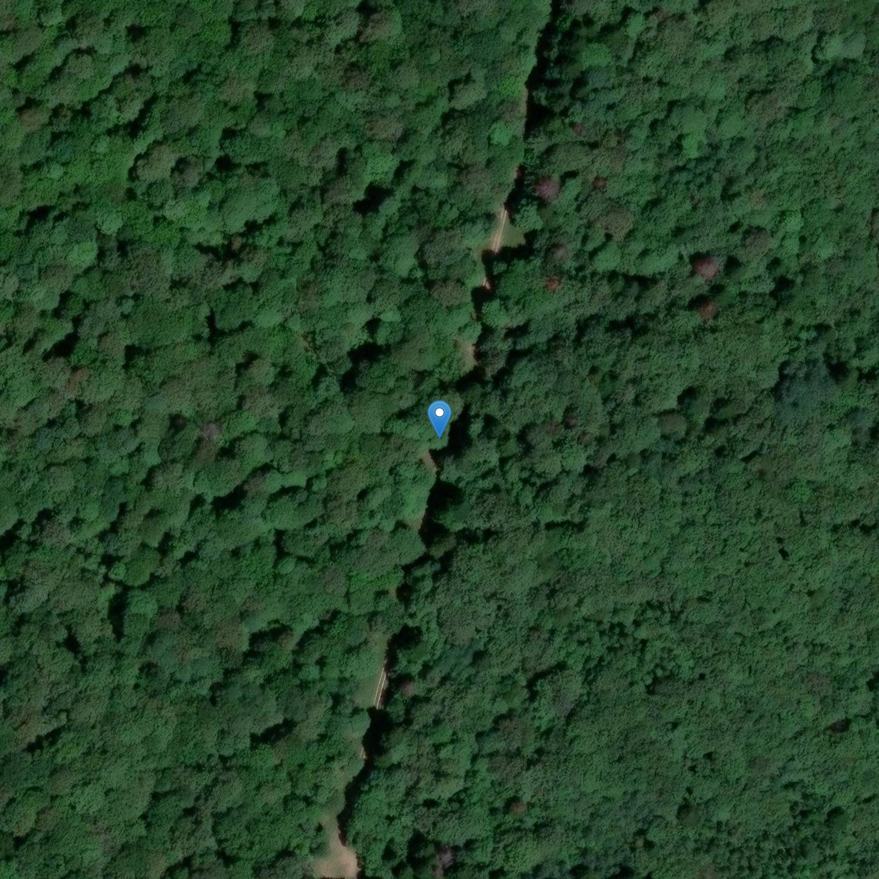 Photo de Dolmen du Bois du Comtot