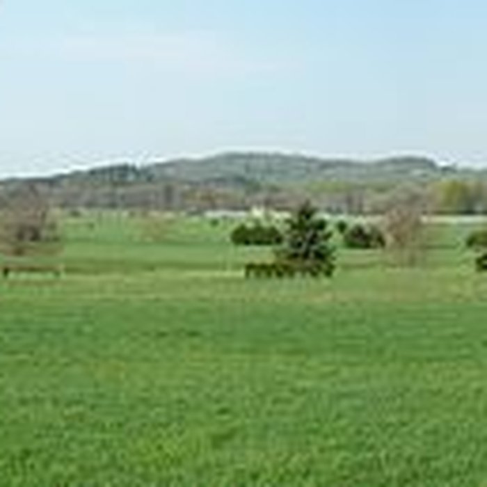 Photo de Station thermale : Casino