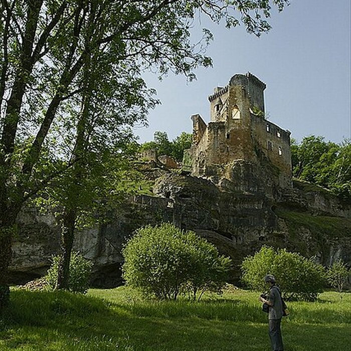 Photo de Château de Commarque
