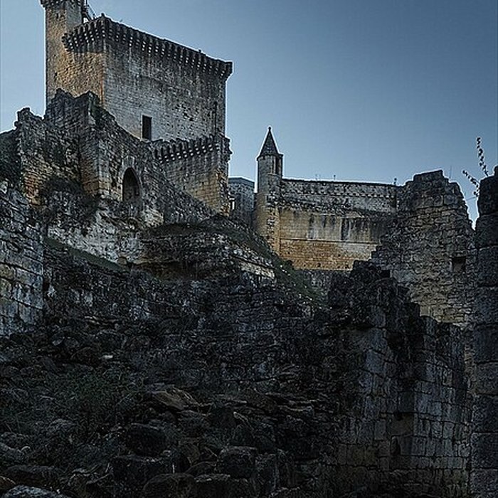 Photo de Château de Commarque