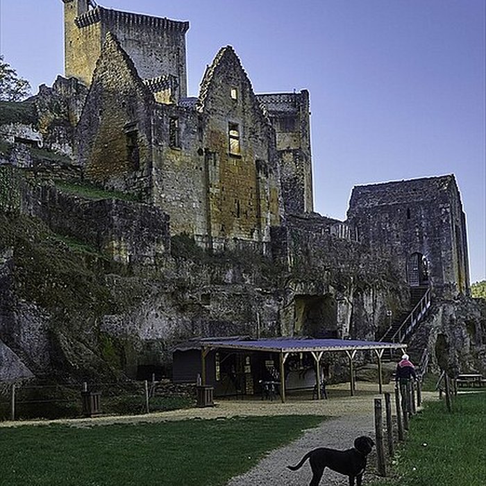 Photo de Château de Commarque