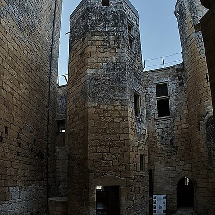 Photo de Château de Commarque