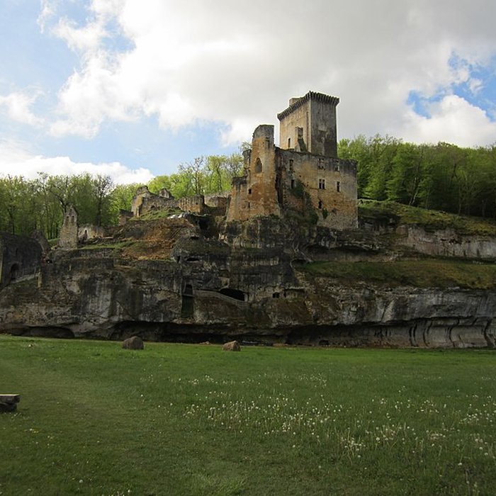 Photo de Château de Commarque