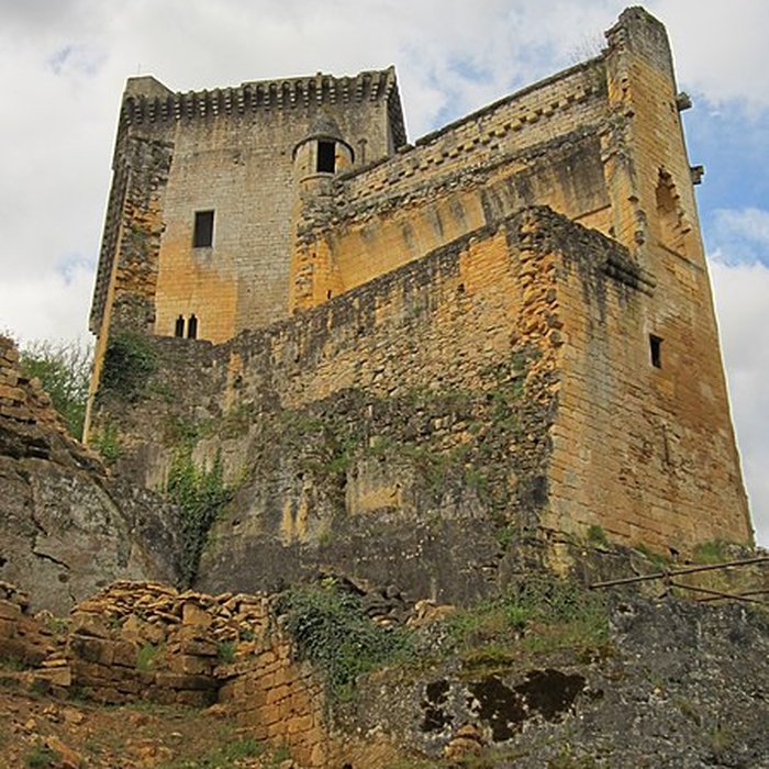 Photo de Château de Commarque