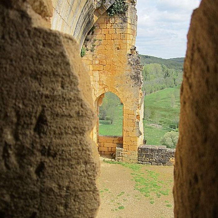 Photo de Château de Commarque