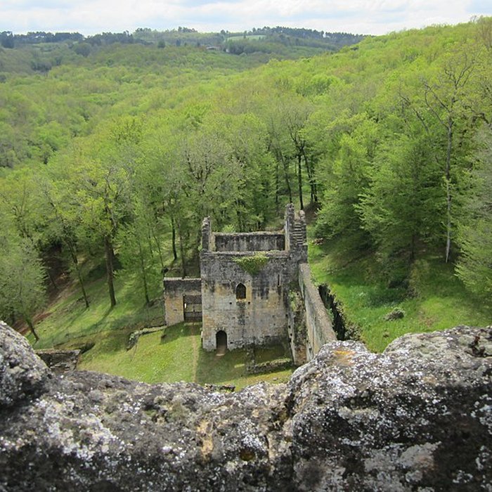 Photo de Château de Commarque