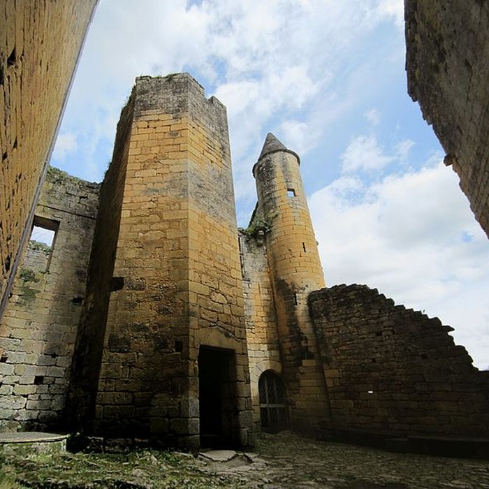 Photo de Château de Commarque