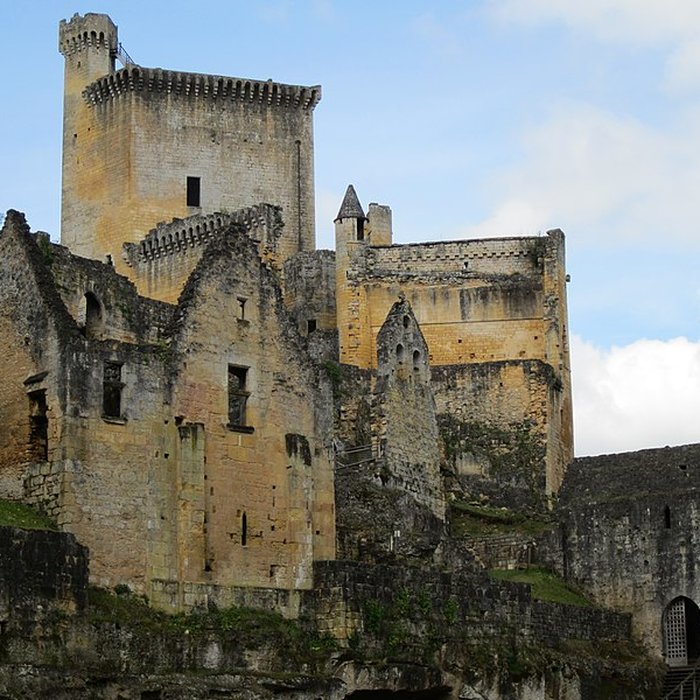 Photo de Château de Commarque