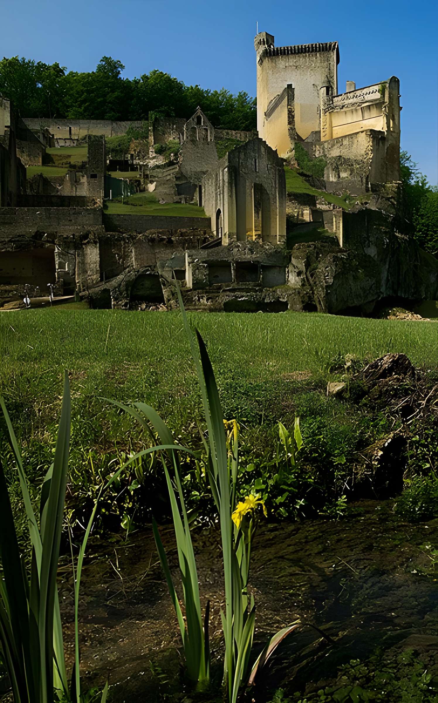 Château de Commarque