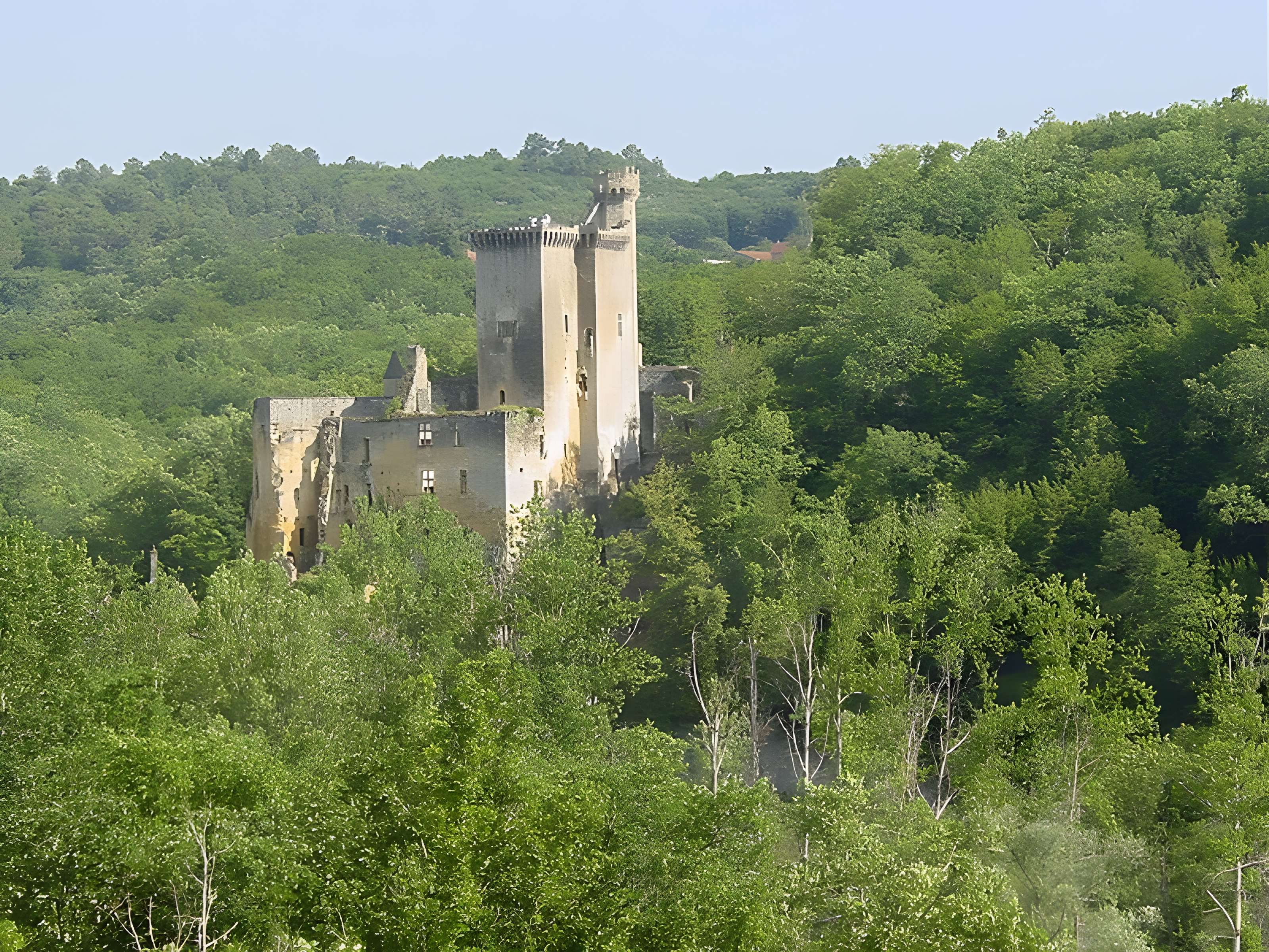 Château de Commarque