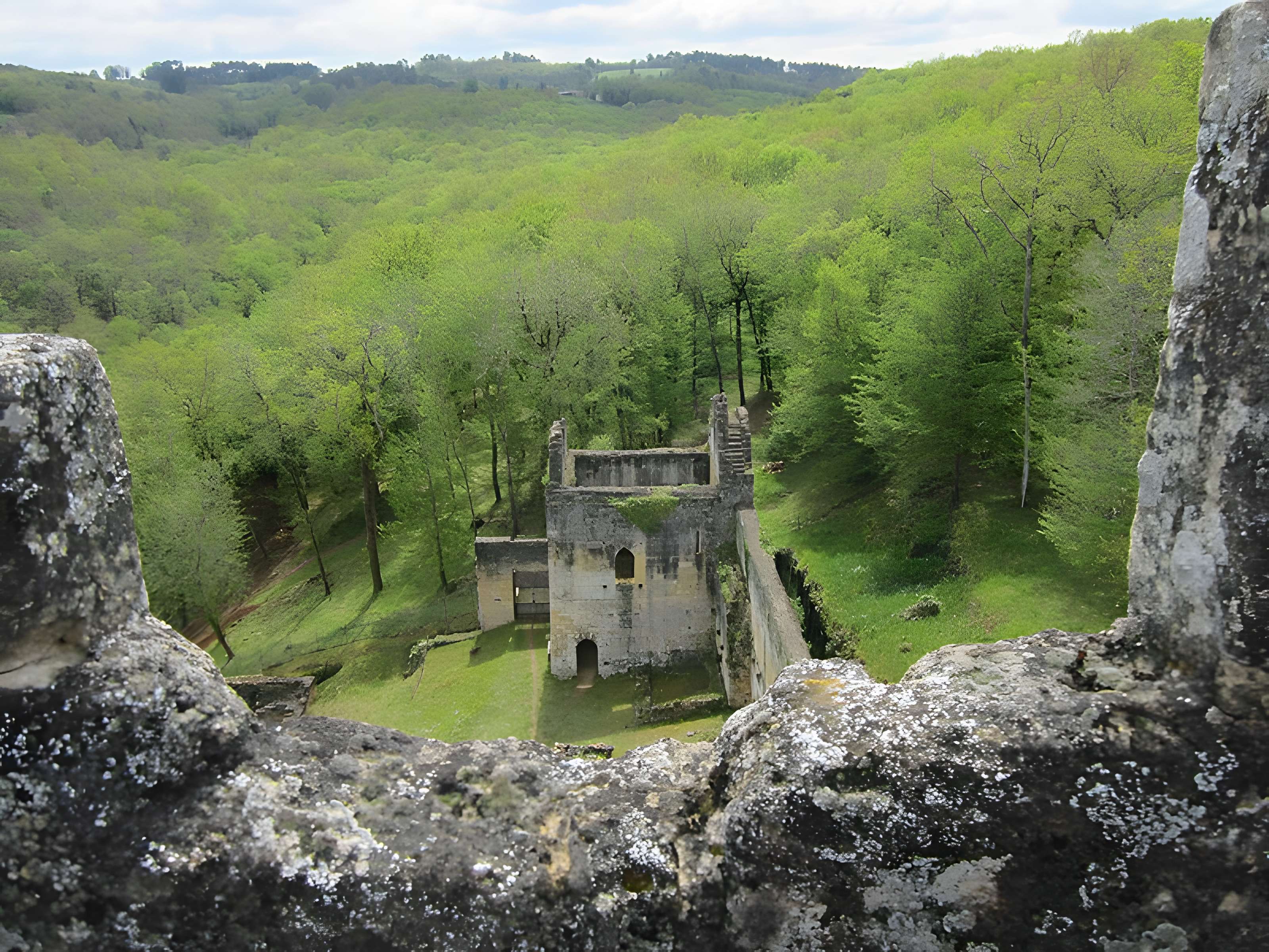 Château de Commarque