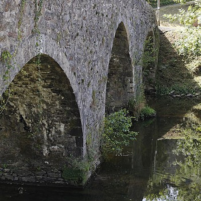 Photo de Pont sur le Célé à Bagnac-sur-Célé